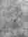 item-114051452=4