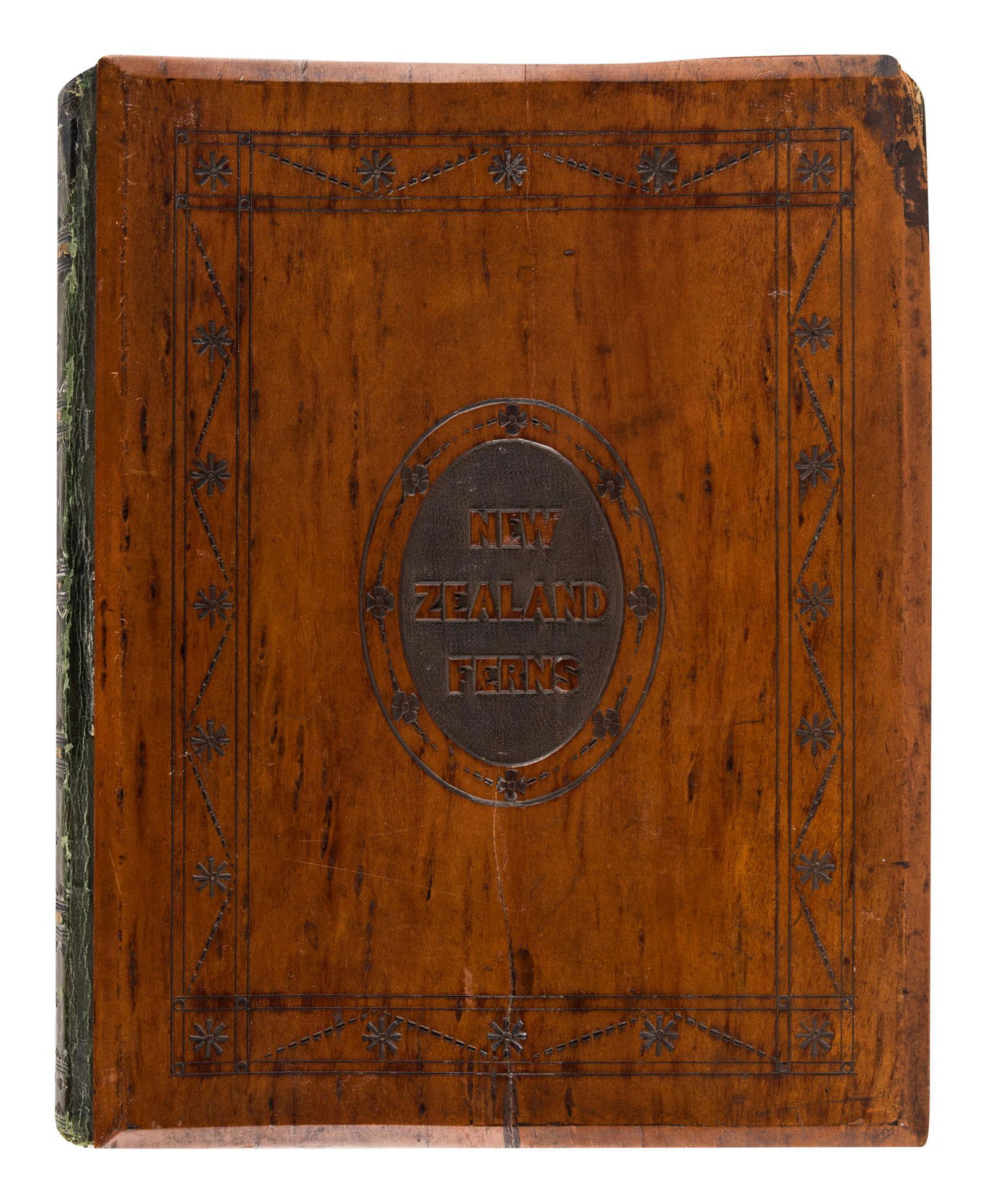 [SPECIMEN ALBUM - FERNS]. CRANWELL, Thomas.   "New (1 of 4)