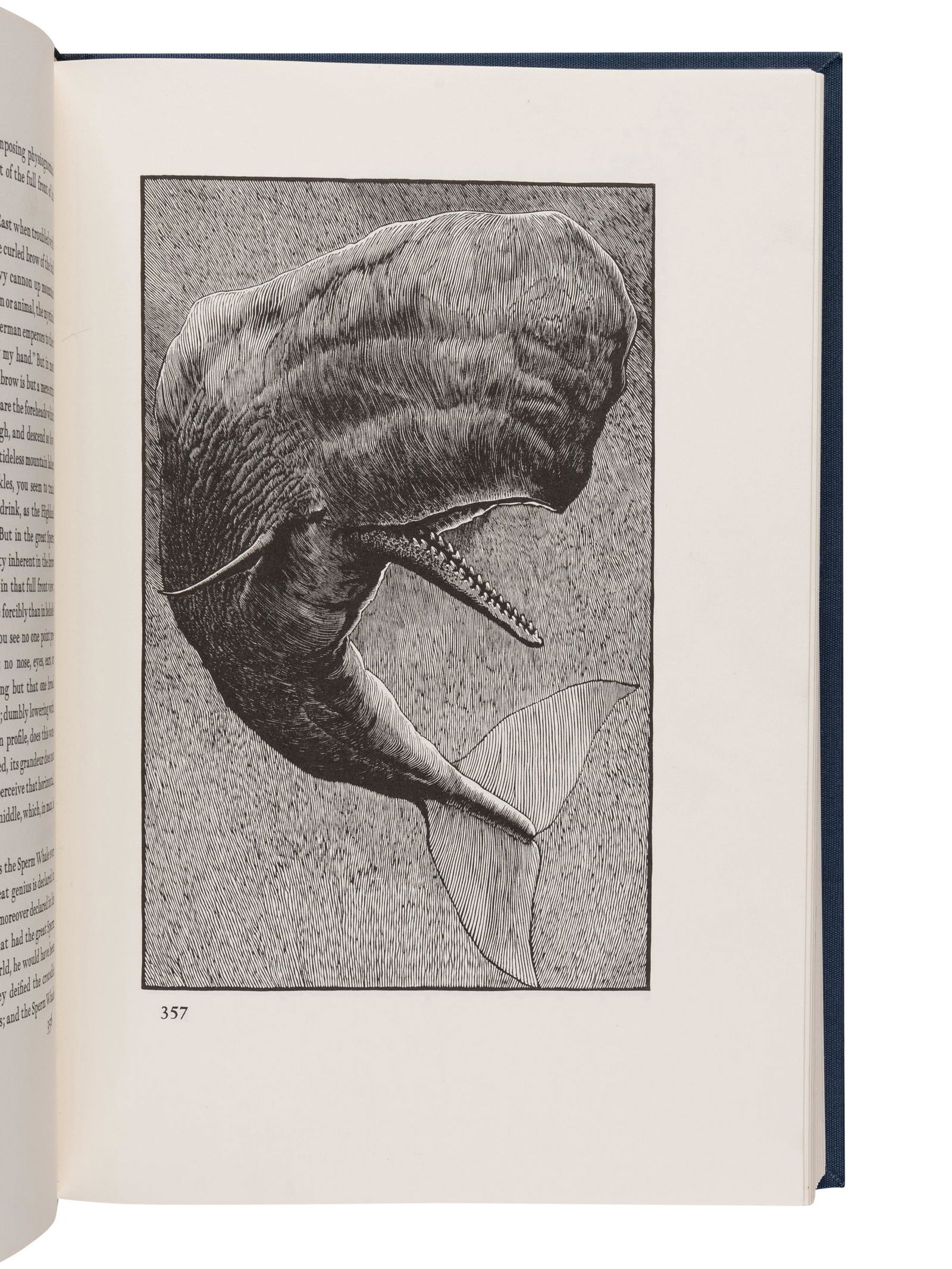 [MOSER, Barry, illustrator]. MELVILLE, Herman: [MOSER, Barry, illustrator]. MELVILLE, Herman (1819-1891). Moby Dick; or, The Whale. Berkeley, CA: University of California Press, 1981. Folio. Numerous woodcut illustrations by Ba