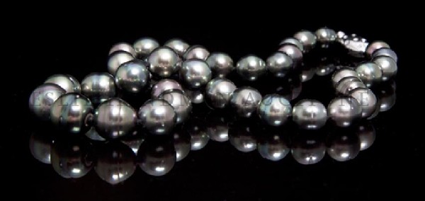 A Single Strand Graduated Cultured Tahitian Pearl Neckl: A Single Strand Graduated Cultured Tahitian Pearl Necklace, containing 37 semi baroque pearls measuring approximately 9.80 - 13.85 mm in diameter, 14 karat white gold clasp contains 14 single cut diam