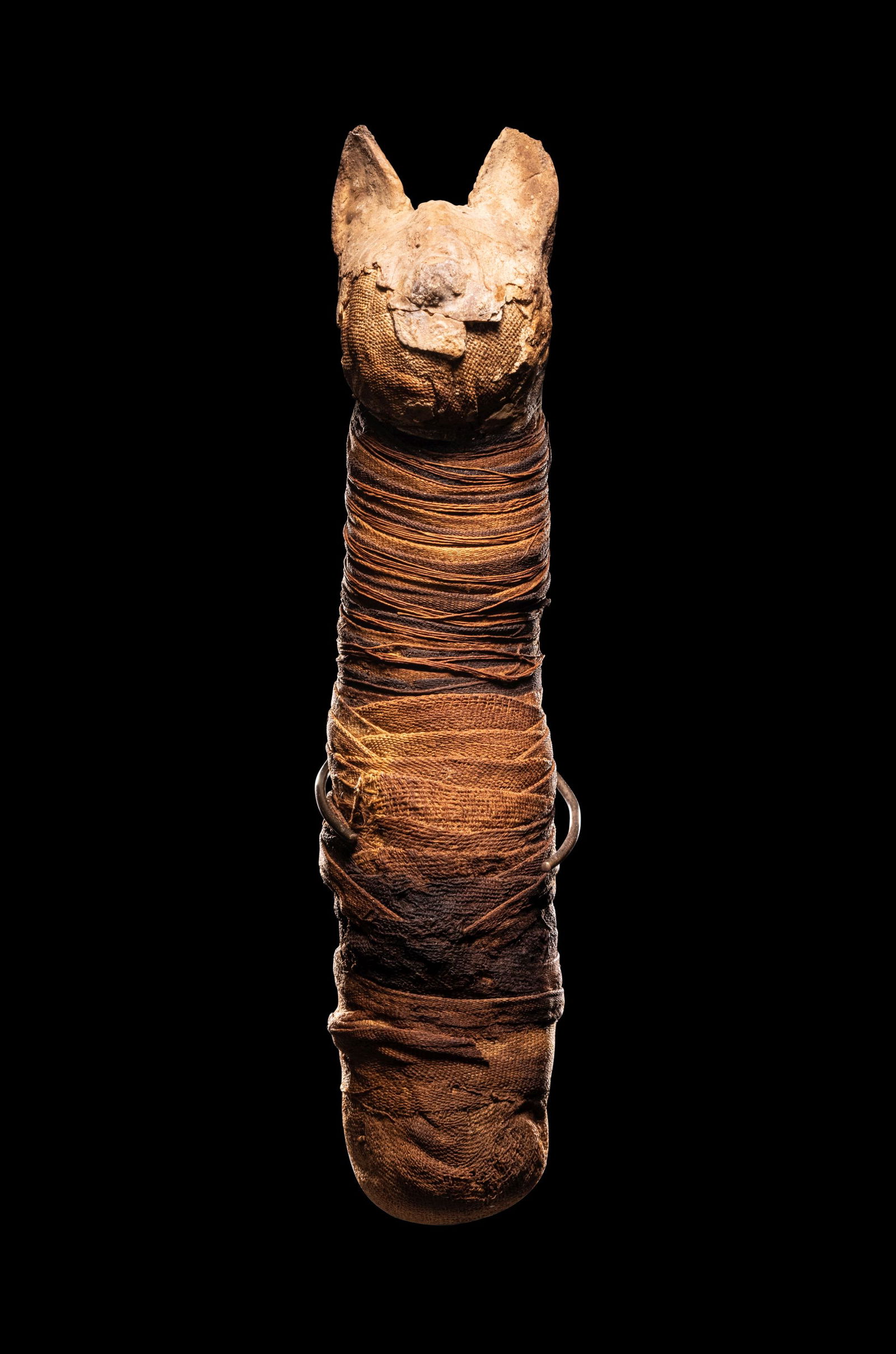 An Egyptian Mummified Cat Height 9 inches (22 cm). (1 of 4)