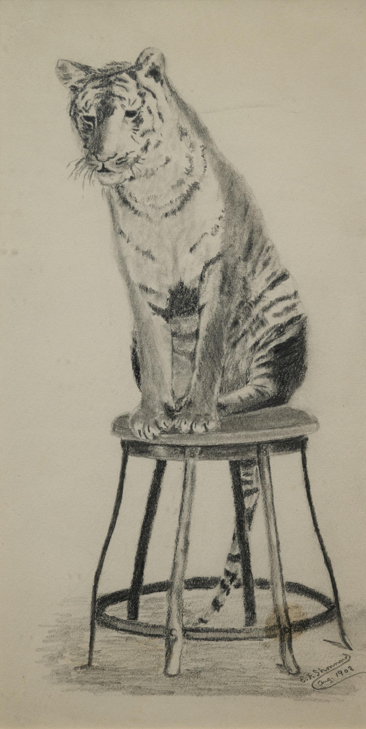 Eugenie Frederica Shonnard (American, 1886-1978) (1 of 5)