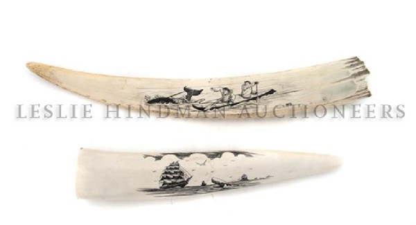 A Group of Two Scrimshaw Tusks, Length of longest: A Group of Two Scrimshaw Tusks, one a walrus tusk with decoration of two figures harpooning a whale from a kayak, the reverse depicting a dog sled, inscribed PFB; the other of ivory showing ships and 