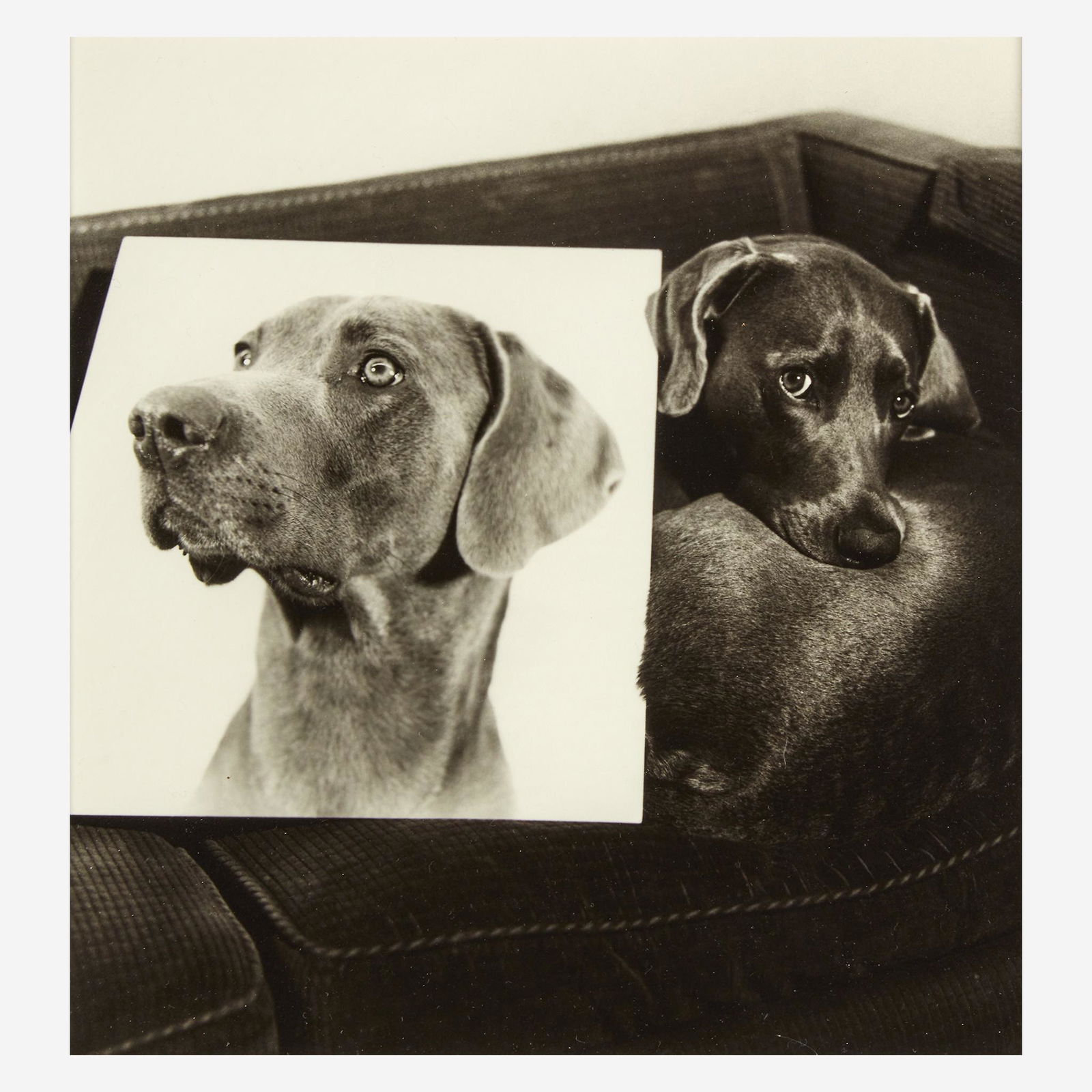 William Wegman (American, b. 1943) Double Portrait (1 of 2)
