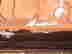 item-117726145=3