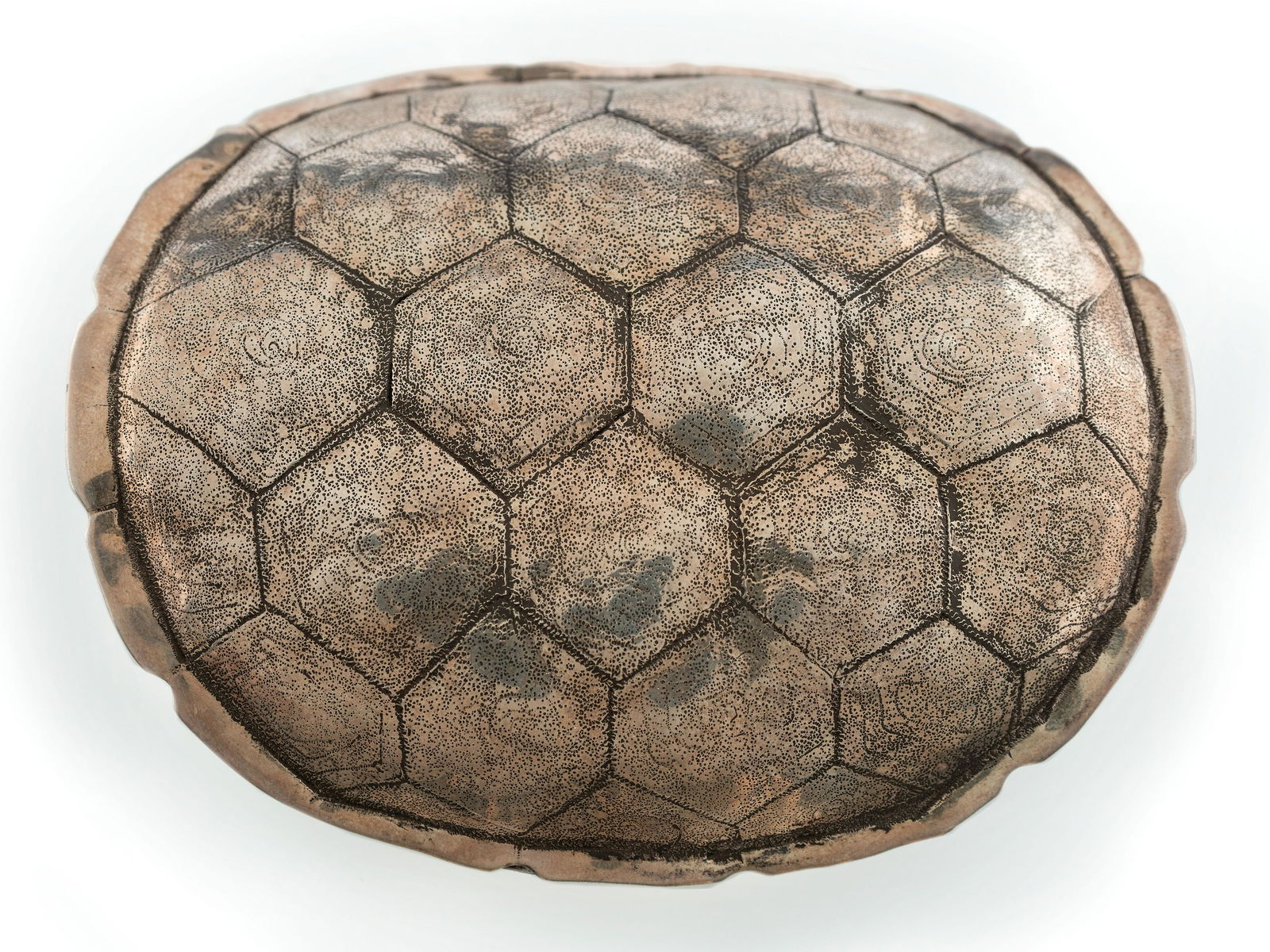 Jan Loco (Apache, b. 1949) (1 of 5)