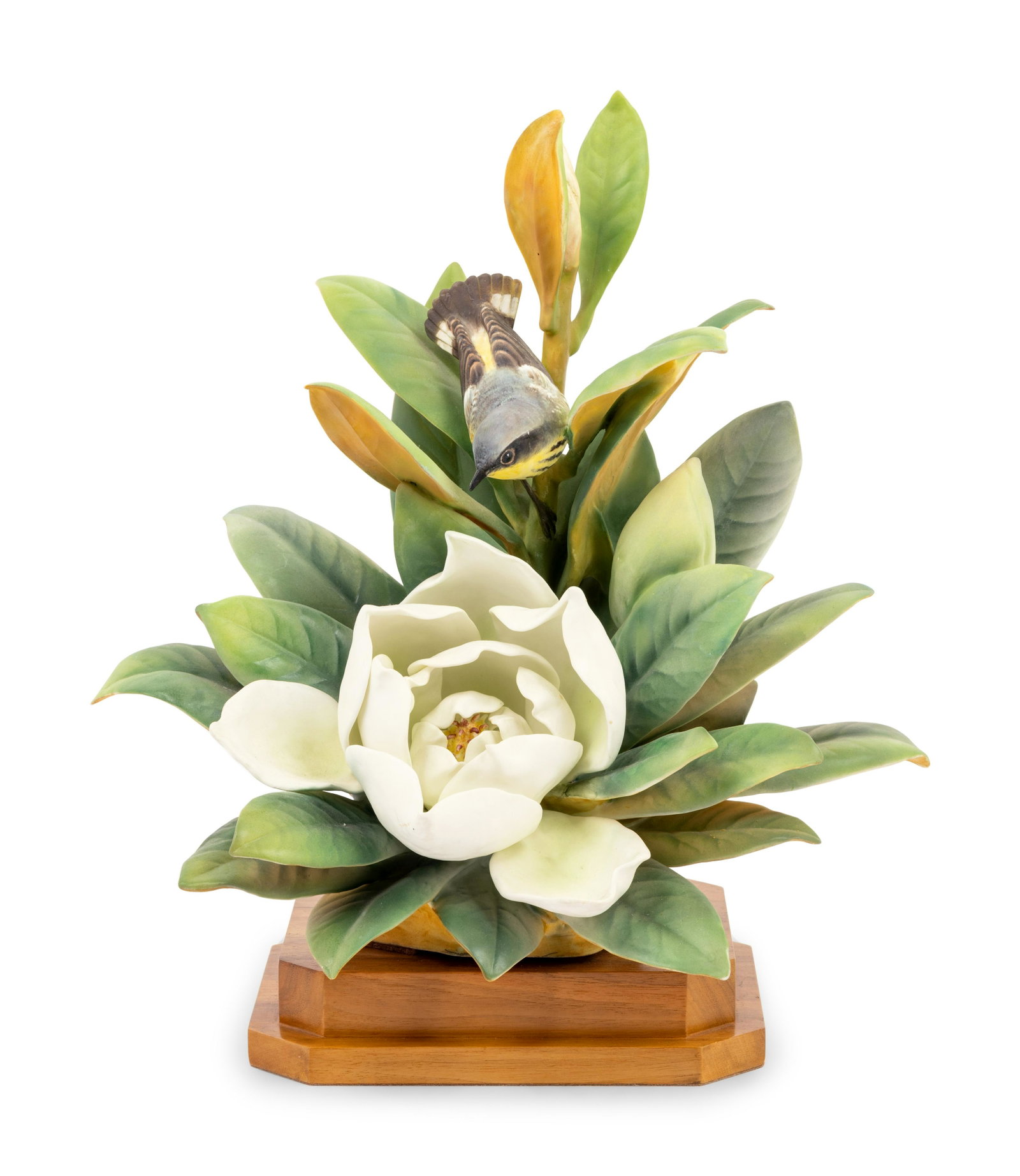 A Royal Worcester Dorothy Doughty Magnolia Warbler: A Royal Worcester Dorothy Doughty Magnolia Warbler Group 20th Century Height of porcelain 13 7/8 inches. Property From The Estate of Edwin L. Cox, Dallas, Texas