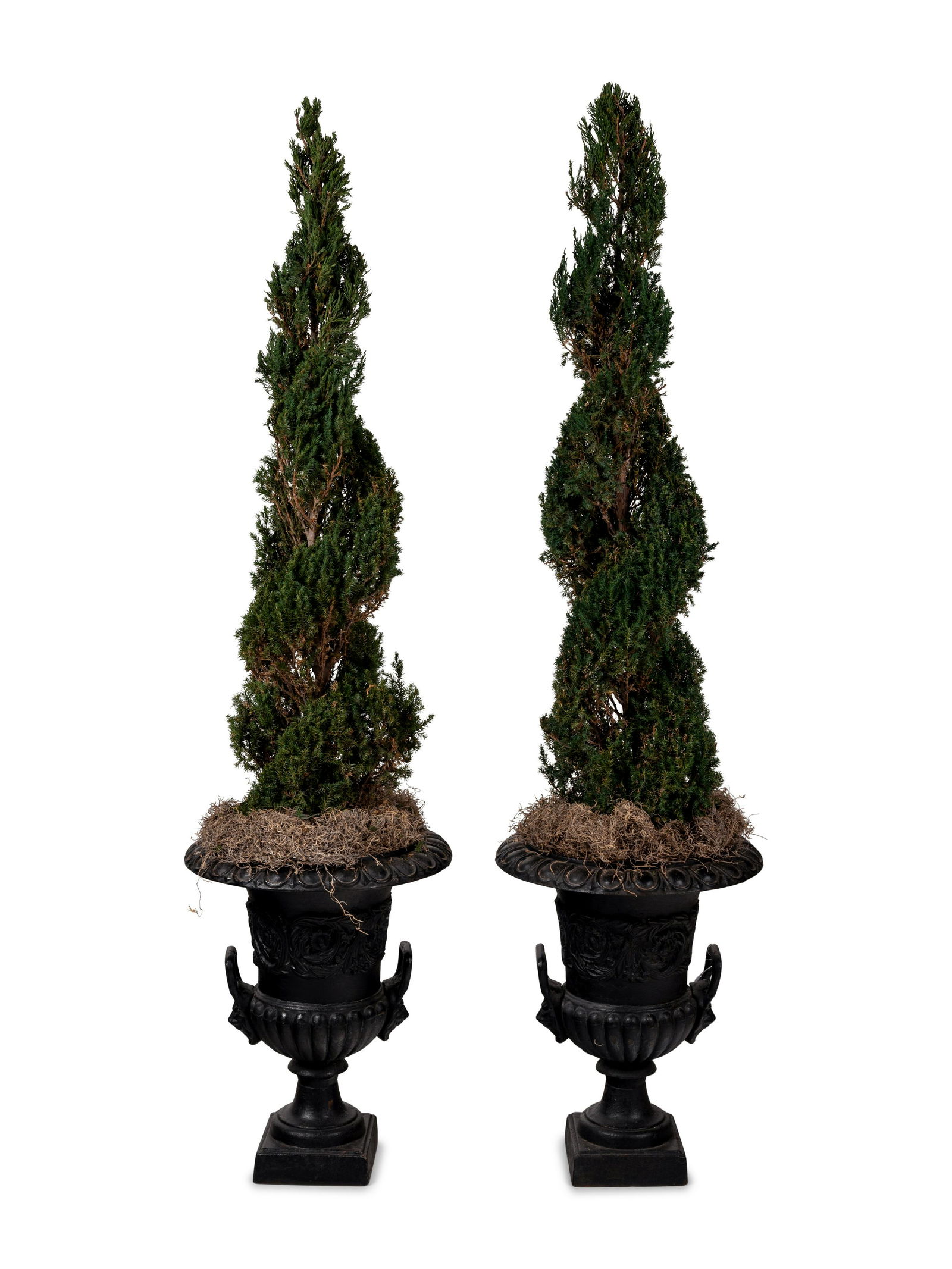 A Pair of Victorian Style Iron Urns with Topiaries (1 of 4)