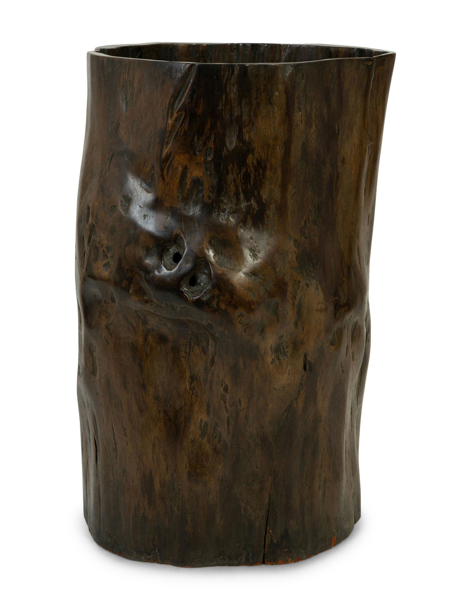 A Large Chinese Hollow Tree Specimen   Height 35 (1 of 3)