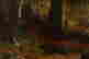 item-120864796=9