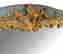 item-120864802=2