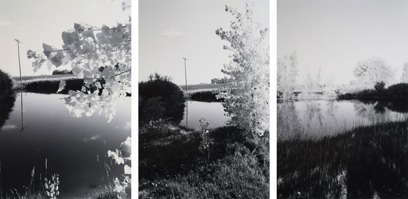 Robert Adams (American, b. 1937) A group of three: Robert Adams (American, b. 1937) A group of three landscapes, 1994 gelatin silver prints each signed, dated, inscribed, and numbered 4/10 in pencil (verso) 8 x 5 inches (each). Property from the Joell