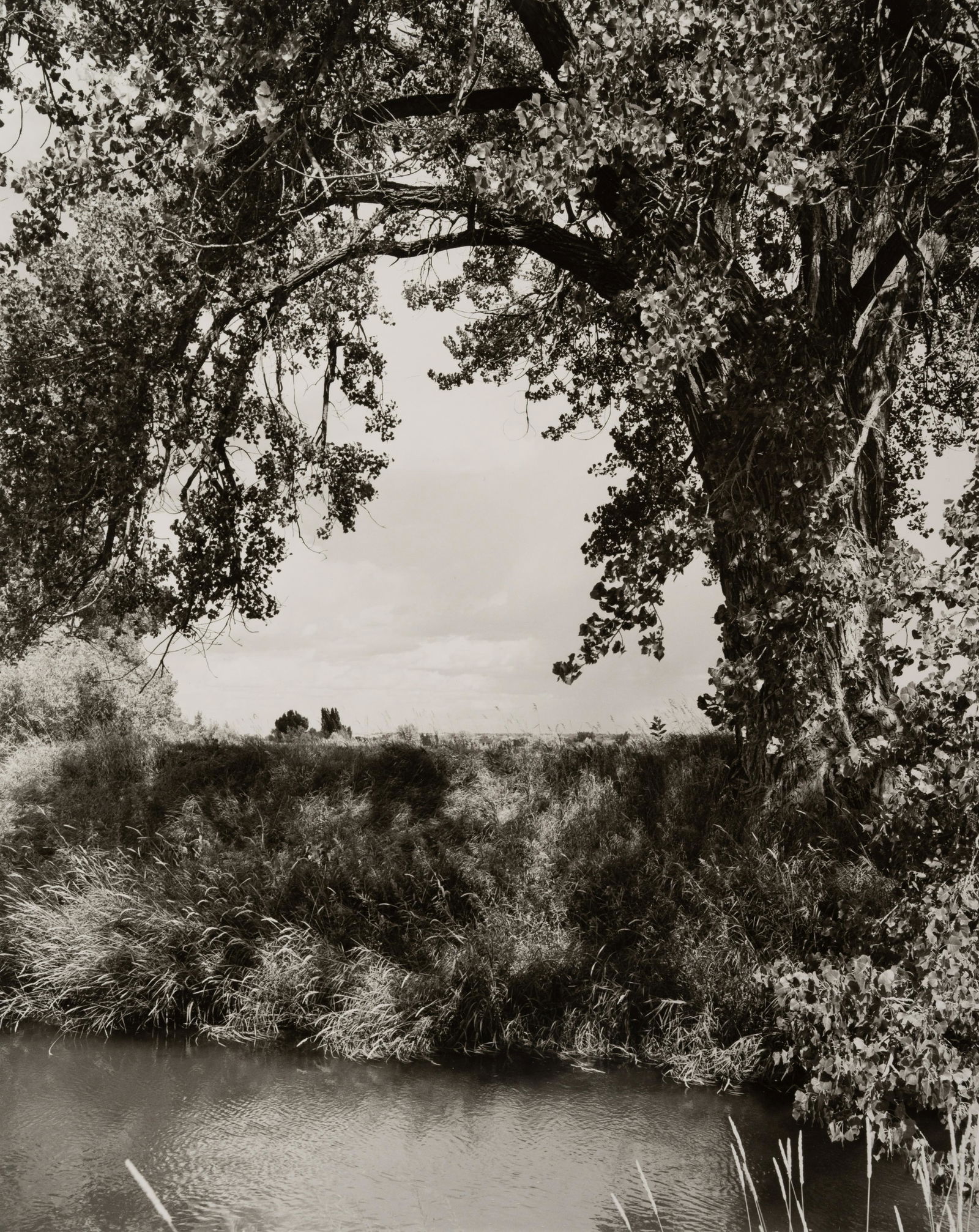 Robert Adams (American, b. 1937) Loveland, CO, early: Robert Adams (American, b. 1937) Loveland, CO, early 1990's, 1995 gelatin silver print signed, inscribed, and dated 2001 (verso) 14 x 11 inches. Property from the Joellyn T. Duesberry Collection Prove