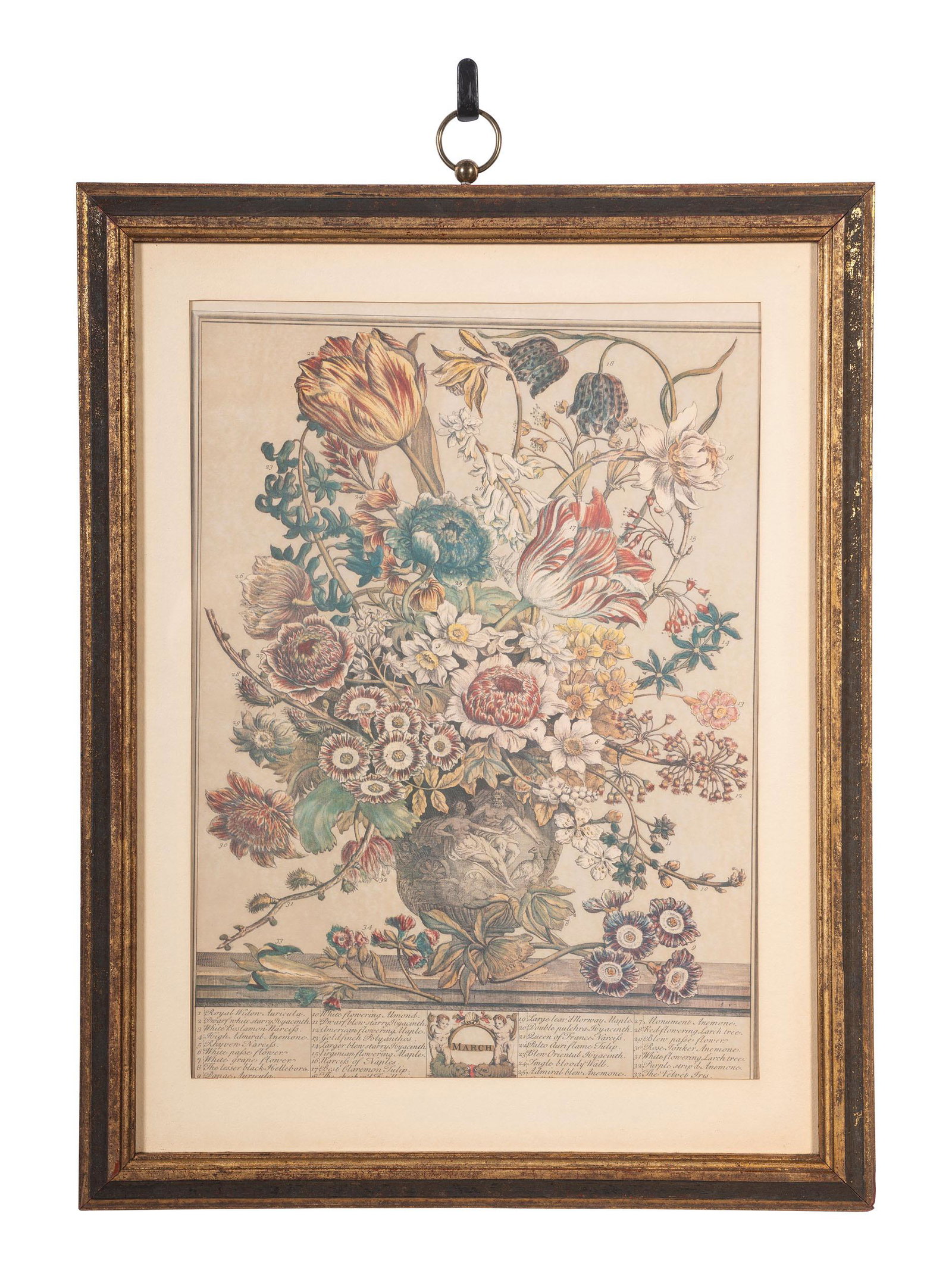 After Pieter Casteels III (Flemish, 1684-1749) (1 of 1)