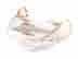 item-121035215=2