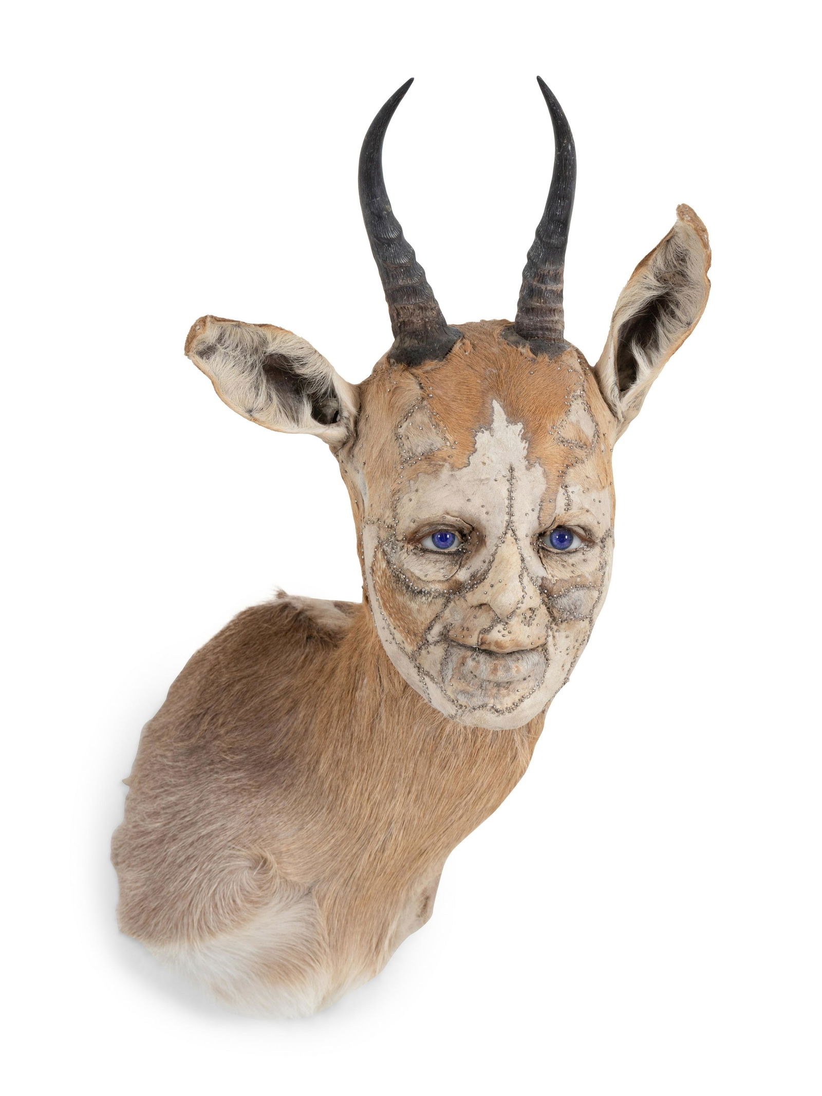 Kate Clark (American, b. 1972) Untitled (Gazelle), 2006 (1 of 5)