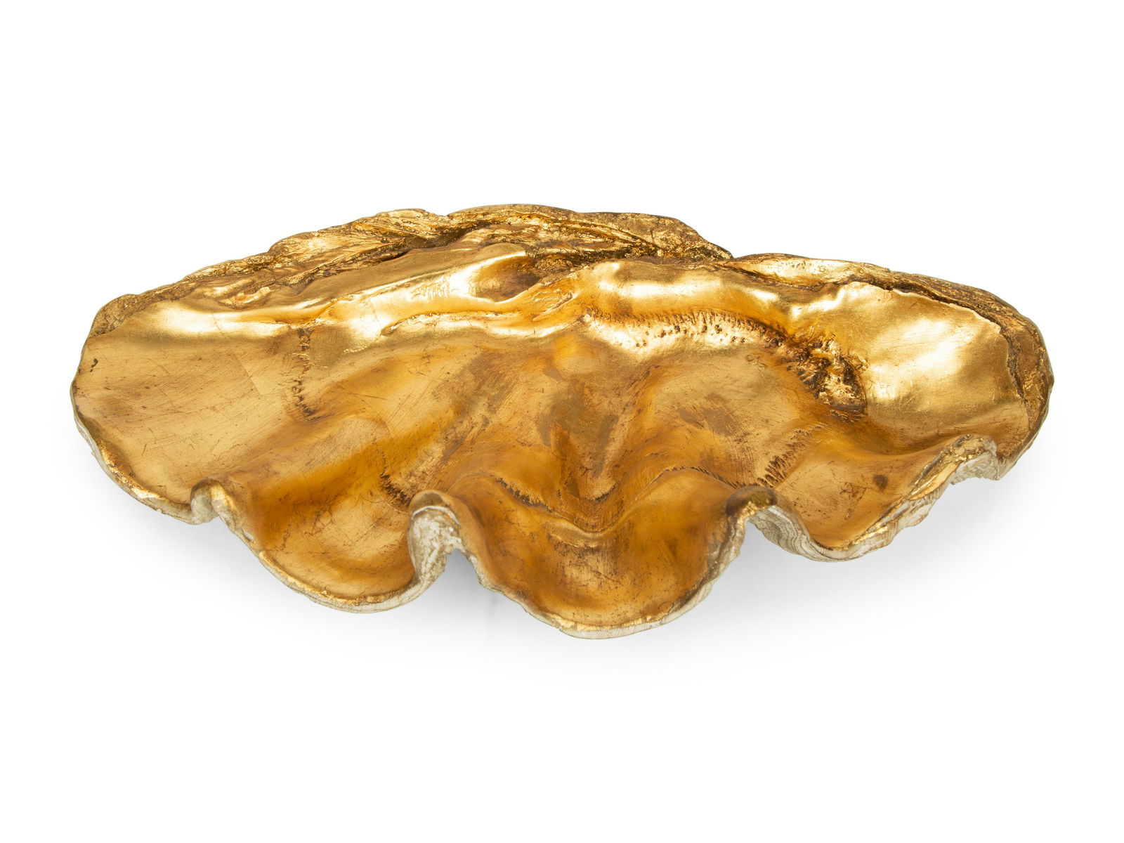 A Gilded Composition Model of a Giant Clam Shell Height: A Gilded Composition Model of a Giant Clam Shell Height 6 x width 21 1/2 x depth 12 1/4 inches.