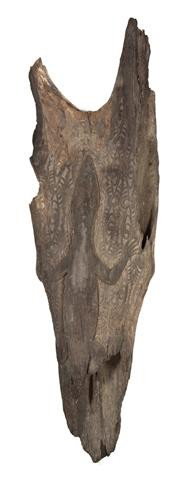 An Architectural House Post Fragment, New Guinea, : An Architectural House Post Fragment, New Guinea, Humboldt Bay Lake, Lake Sentani, of dark patinated wood, having raised carving in the form of a lizard, with scrolled decoration in the reserve. Lengt