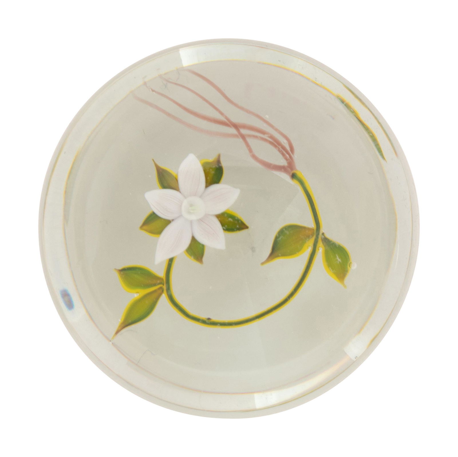 A Paul Stankard White Flower  Botanical Glass Paperweight   (1 of 3)