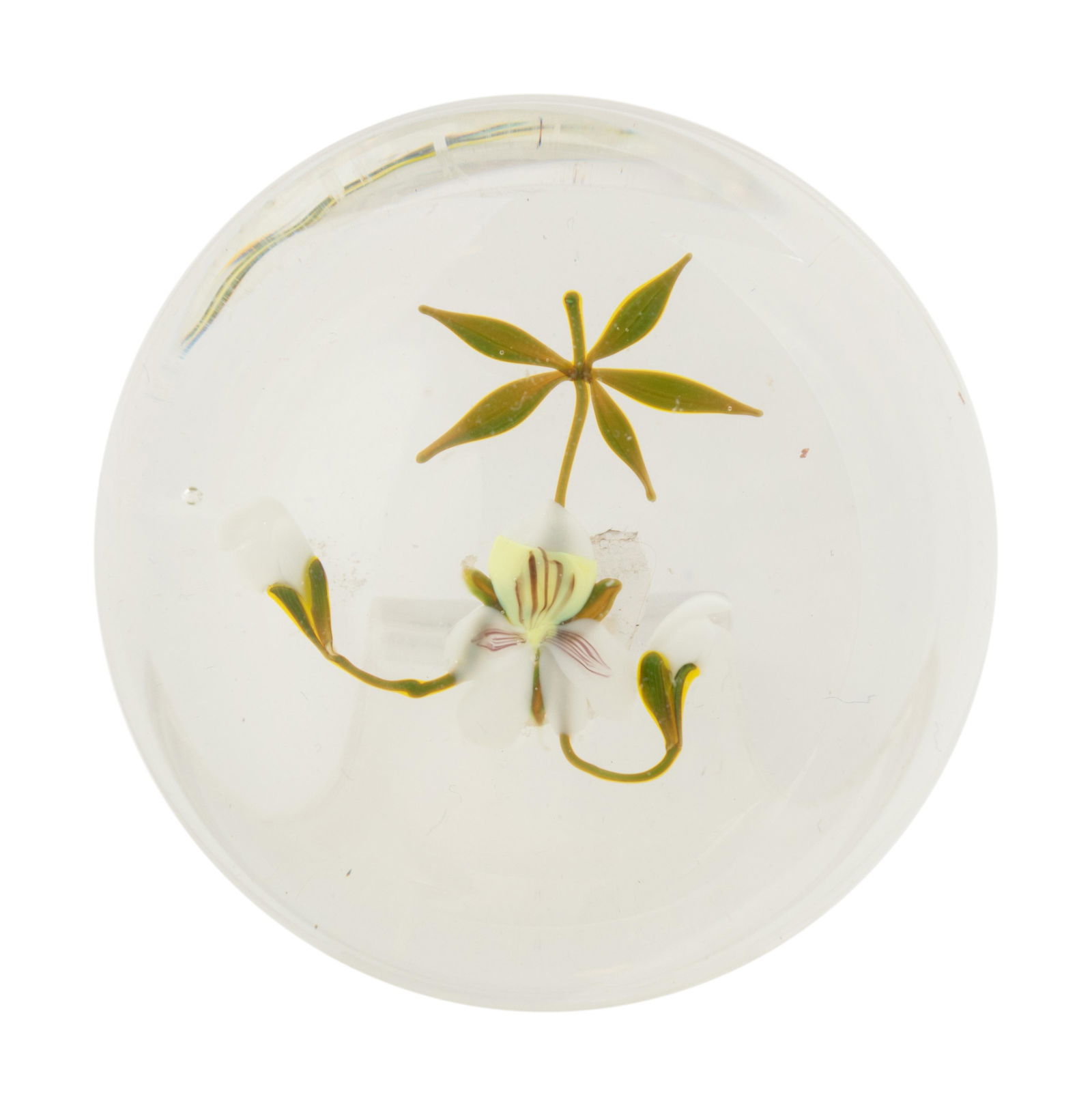 A White Flower with Two Buds Botanical Glass Paperweight (1 of 4)