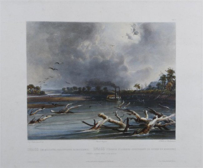 Karl Bodmer, (Swiss, 1809-1893), Snags: Karl Bodmer (Swiss, 1809-1893) Snags color aquatint 15 x 18 inches.