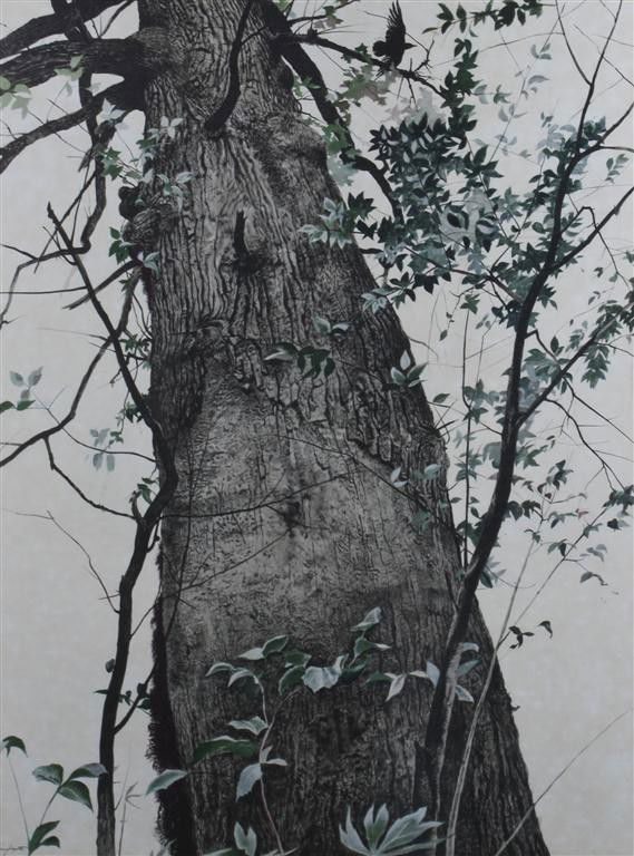 Andrew Wyeth, (American, 1917-2009), The Oak, 1956: Andrew Wyeth (American, 1917-2009) The Oak, 1956 collotype 24 X 18 inches.