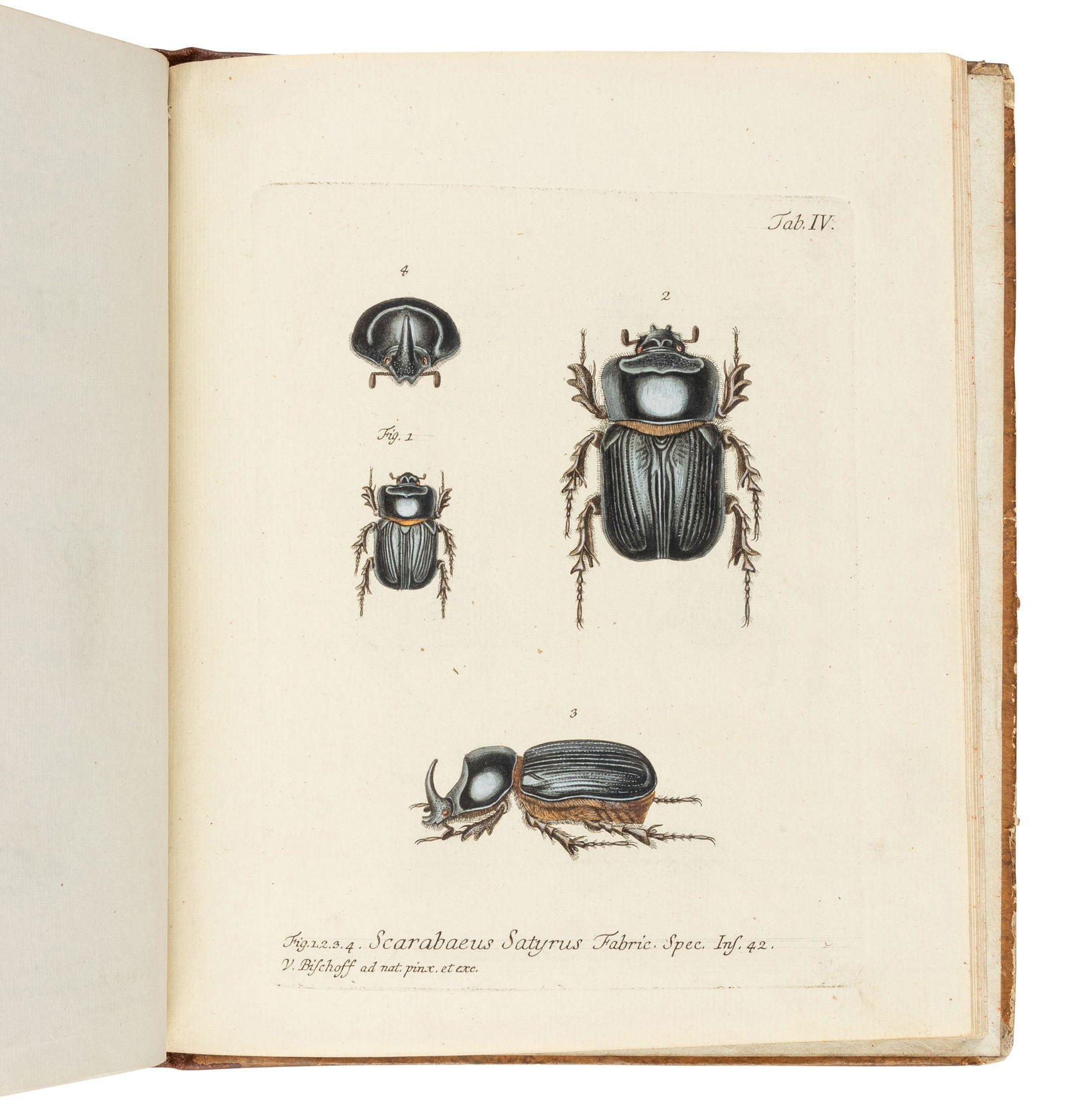 PANZER, Georg Wolfgang Franz. Symbolae Entomologicae. Erlangen: Johann Jacob Palm, 1802. Comprises (1 of 1)