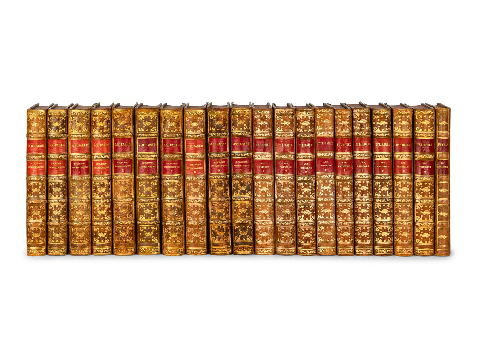 [BINDINGS.] ROULE, Louis. Les Poissons. Paris: Librairie Delagrave, 1926-1937. FIRST EDITION. (1 of 1)