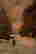 item-126717037=3