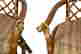 item-126867800=2