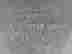 item-127808494=6