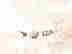 item-128094023=2