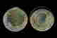 item-128168040=4