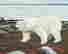 item-128204005=3