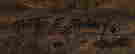 item-128204005=4