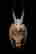 item-131309635=6