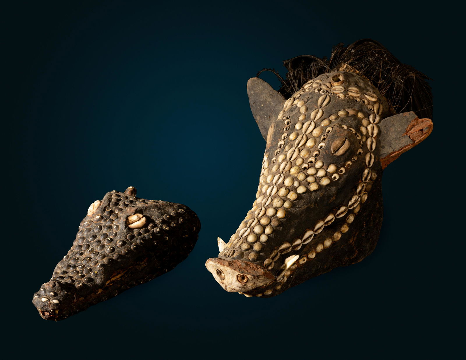 An Oceanic Decorated Crocodile Skull and Boar Skull Length of largest 13 7/16 inches (34.2 cm). (1 of 4)