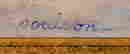 item-131356799=4