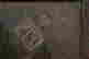 item-131625209=7