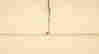 item-131766823=3