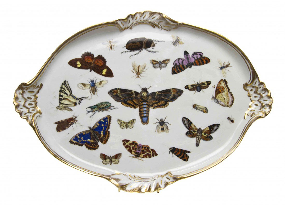 A Meissen Porcelain Tray, Width 17 1/4 inches.: A Meissen Porcelain Tray, of shaped oval form with gilt borders, decorated with various insects, having crossed swords mark in underglaze blue. Width 17 1/4 inches.