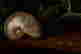 item-133426067=3