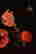 item-133426067=4