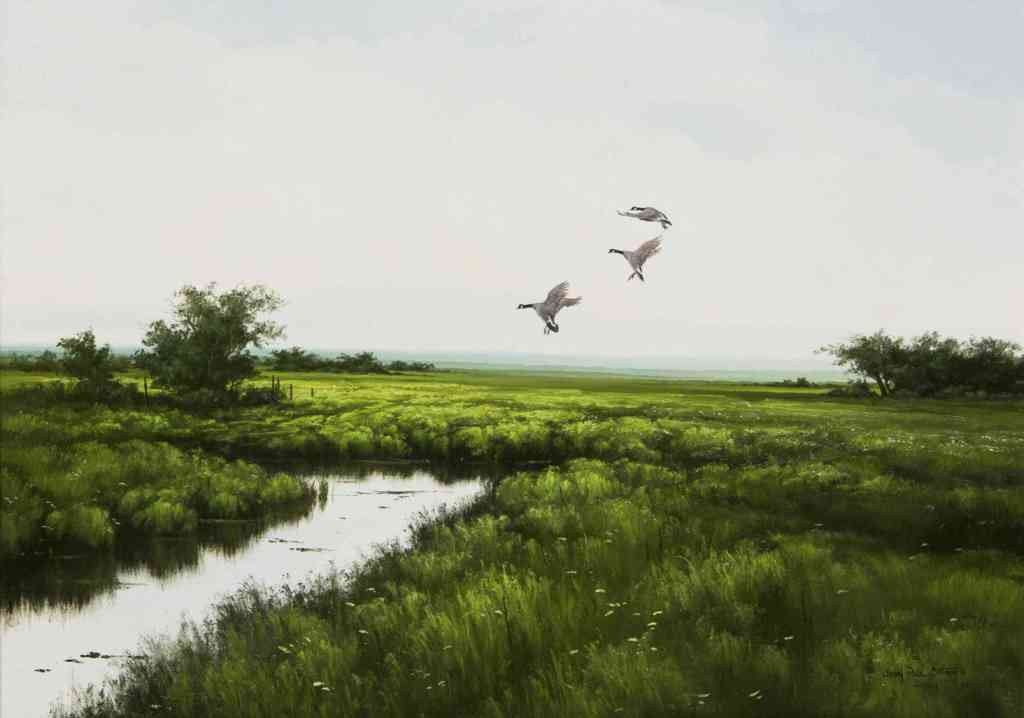John Paul Strain, (American, b. 1955), Canadian M: John Paul Strain (American, b. 1955) Canadian Meadow, 1979 oil on board signed John Paul Strain II (lower right) 16 x 22 inches. Property from the Estate of Dr. Joseph and Donna Lee B