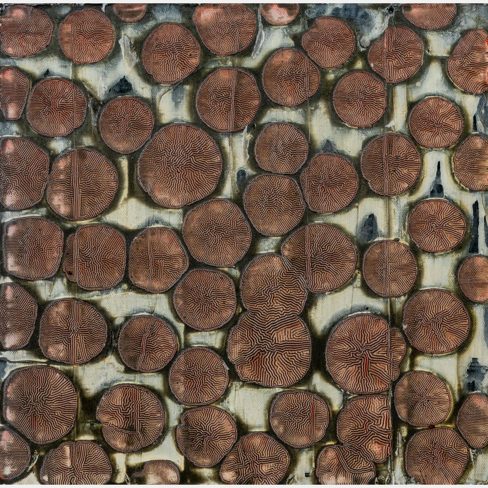 John Zinsser (American, b. 1961) Dry HalfPennies, 1990: John Zinsser (American, b. 1961) Dry HalfPennies, 1990 oil and enamel on canvas signed, titled, and dated (verso) 12 1/8 x 11 7/8 inches. Property from The Private Collection of Ted and Generosa Ammon