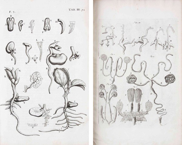 MALPIGHI, MARCELLO. Opera Omnia. London, 1686. Tog: MALPIGHI, MARCELLO Opera omnia, figuris elegantissimis in aes incisis illustrata. London: Thomas Sawbridge & George Wells, 1686. 2 vols. in one. Folio, contemporary vellum. First edition of Malpighi's