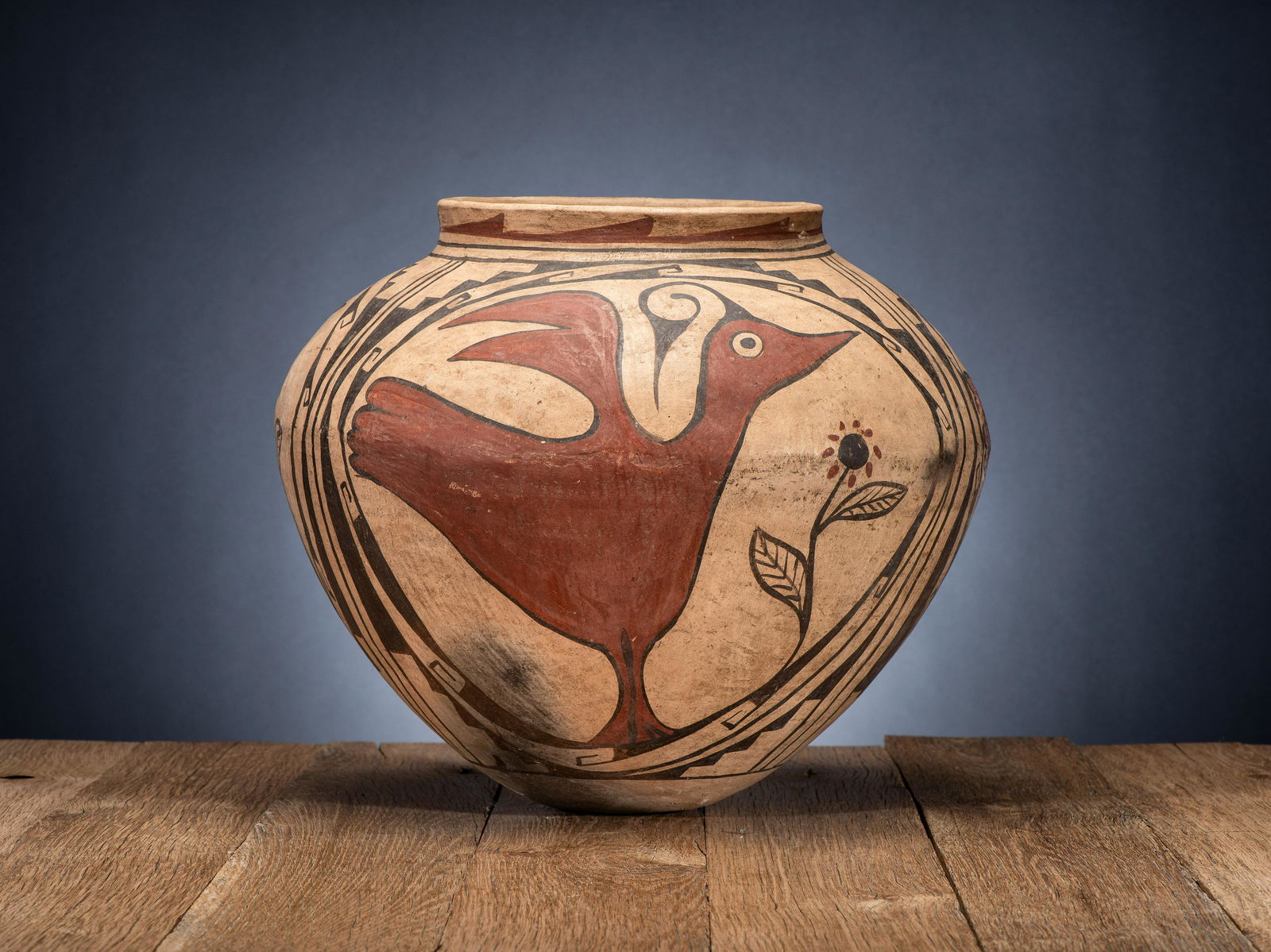 Mata Ortiz Pottery Olla (1 of 8)