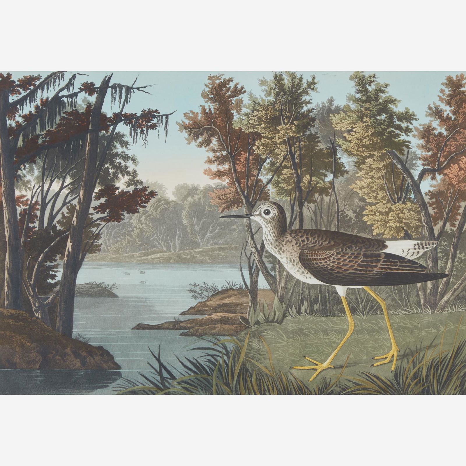 [Prints] Audubon, J(ohn). J(ames). Yellow Shank (1 of 2)
