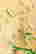 item-135491975=3