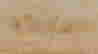 item-135491975=4